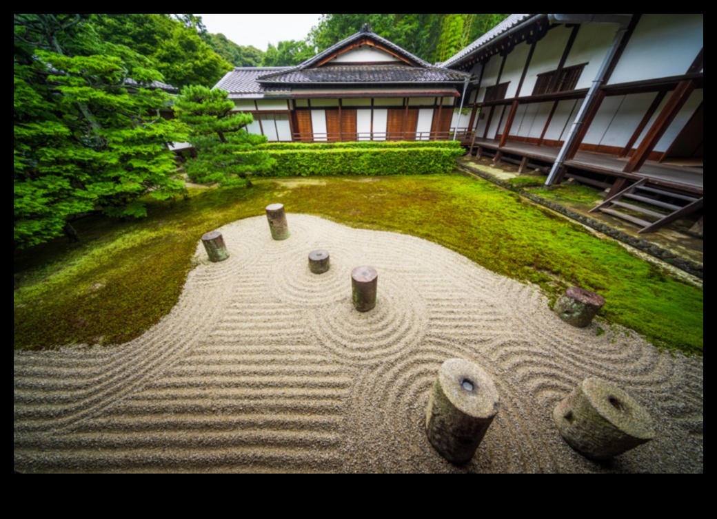 Karesansui Harikaları: Japon Bahçesinin Sadeliği